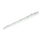 Philips LED Feuchtraumleuchte Ledinaire WT065C 30/53W 4100/6800lm - 840 Kaltweiß | 150cm - Durchgangsverdrahtung