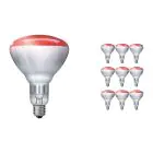 Mehrfachpackung 10x Philips BR125 IR 250W E27 230-250V Rot