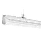 Noxion LED Modul NX-Line Weiß 40/50/60/70W 13650lm 90D - 840 Kaltweiß | 1500mm - Dali Dimmbar