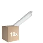 Mehrfachpackung 10x Philips LED-Feuchtraumleuchte CoreLine WT120C G3 13W 2000lm - 840 Kaltweiß | 60cm - Ersatz Für 2x18W