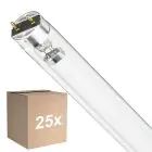 Mehrfachpackung 25x Philips T8 UV - C 17W - Ultraviolett | 60cm
