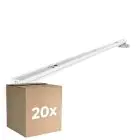 Mehrfachpackung 20x Noxion Deckenleuchte Click LED T8 | Geeignet Für  2x60cm LED Röhre