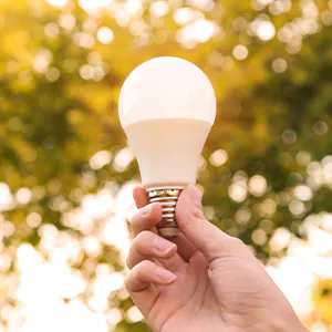 LED-Birne wird hochgehalten